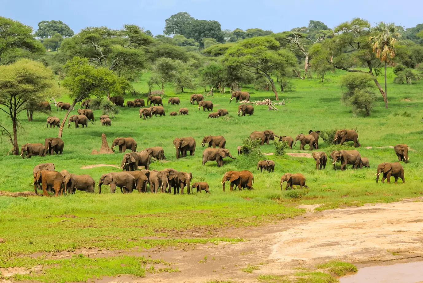 Top Attractions in Tanzania